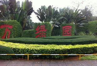 万绿园命案天涯爆料视频,天涯爆料视频揭露惊人真相